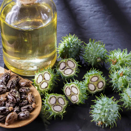 <h3><strong>Huile de Ricin</strong></h3>